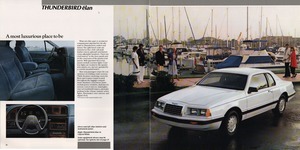 1986 Ford Thunderbird-10-11.jpg